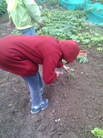 20100215Farm Visit31.jpg